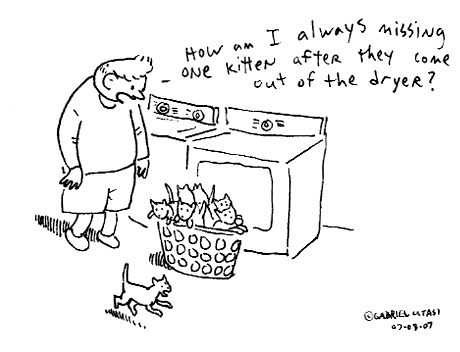 Dry kittens